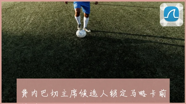 费内巴切主席候选人锁定马略卡前锋穆里奇若当选将立即签约